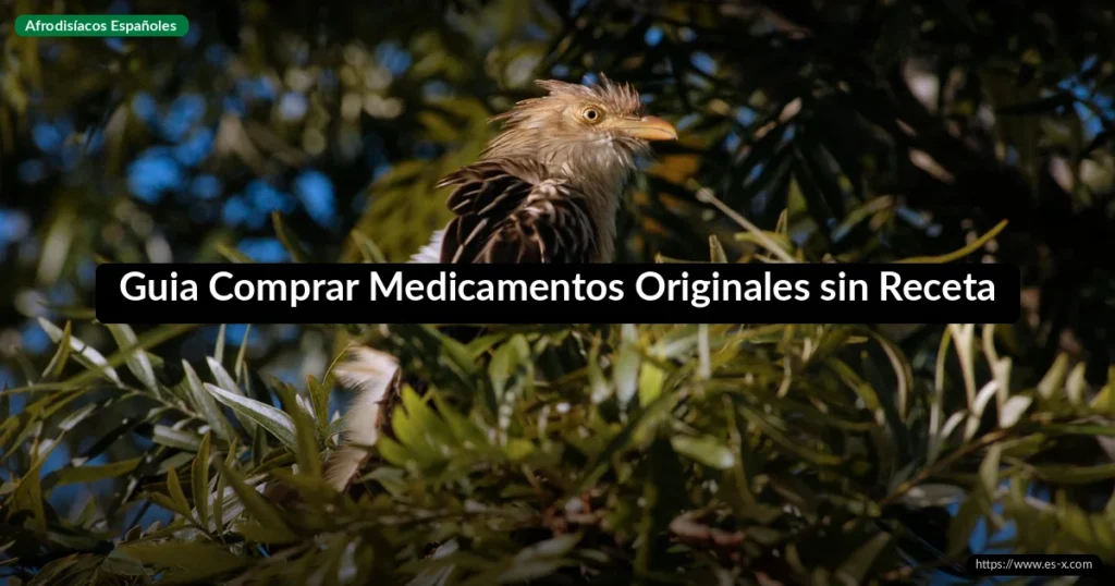 Guia Comprar Medicamentos Originales sin Receta