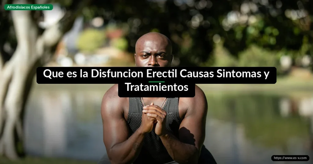 Que es la Disfuncion Erectil Causas Sintomas y Tratamientos