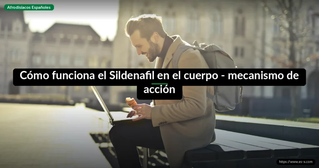 Cómo funciona el Sildenafil en el cuerpo - mecanismo de acción