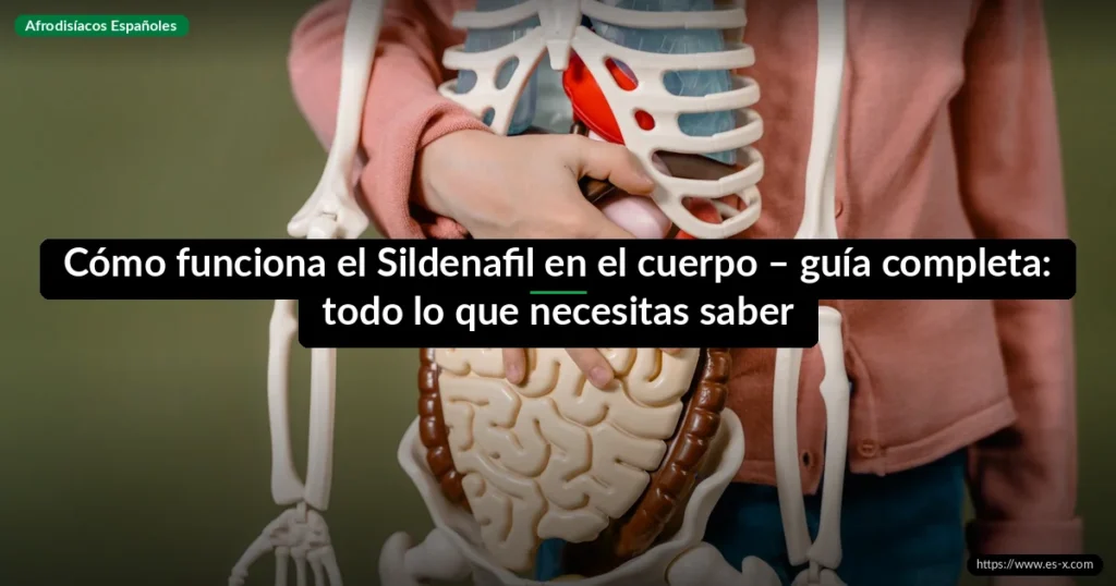 Cómo funciona el Sildenafil en el cuerpo – guía completa: todo lo que necesitas saber